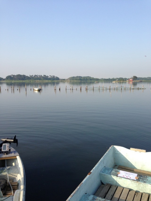 プロショップオオツカ バスフィッシング用品ネット通信販売 ブログ写真 2013/06/07