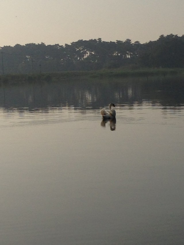 プロショップオオツカ バスフィッシング用品ネット通信販売 ブログ写真 2013/06/07