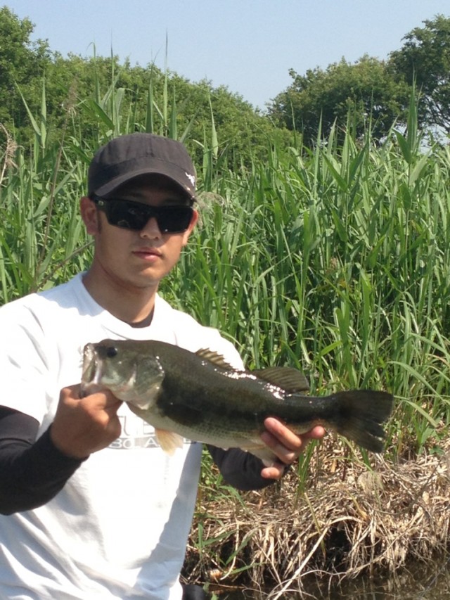 プロショップオオツカ バスフィッシング用品ネット通信販売 ブログ写真 2013/06/07