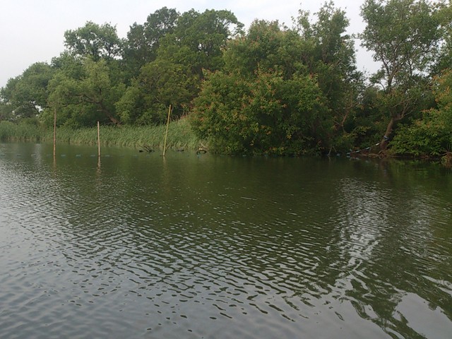 プロショップオオツカ バスフィッシング用品ネット通信販売 ブログ写真 2013/06/07