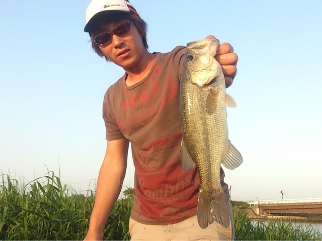 プロショップオオツカ バスフィッシング用品ネット通信販売 ブログ写真 2013/06/07