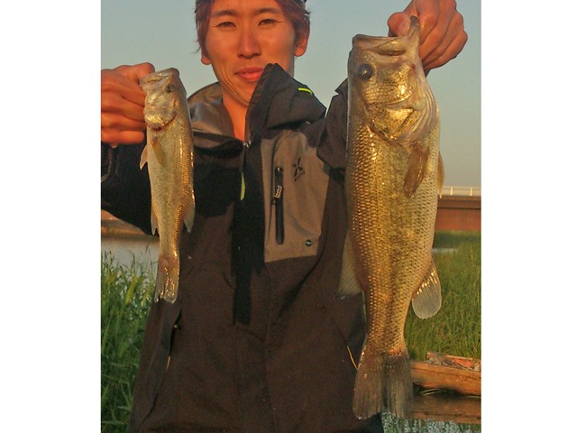 プロショップオオツカ バスフィッシング用品ネット通信販売 ブログ写真 2013/06/07