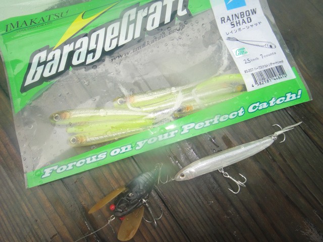 プロショップオオツカ バスフィッシング用品ネット通信販売 ブログ写真 2013/06/15