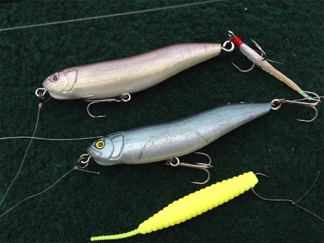 プロショップオオツカ バスフィッシング用品ネット通信販売 ブログ写真 2013/06/19