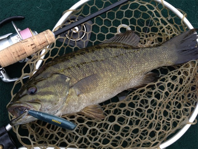 プロショップオオツカ バスフィッシング用品ネット通信販売 ブログ写真 2013/06/19