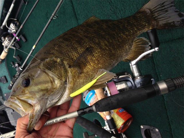 プロショップオオツカ バスフィッシング用品ネット通信販売 ブログ写真 2013/06/19