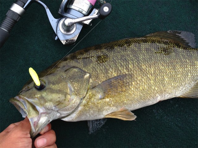 プロショップオオツカ バスフィッシング用品ネット通信販売 ブログ写真 2013/06/19