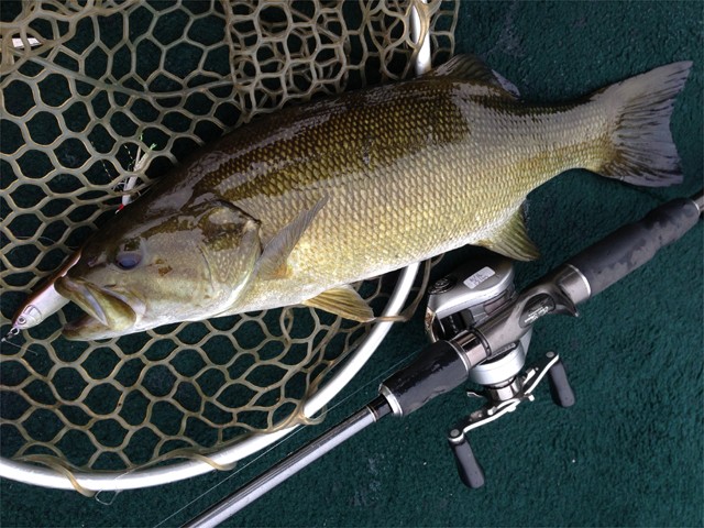 プロショップオオツカ バスフィッシング用品ネット通信販売 ブログ写真 2013/06/19