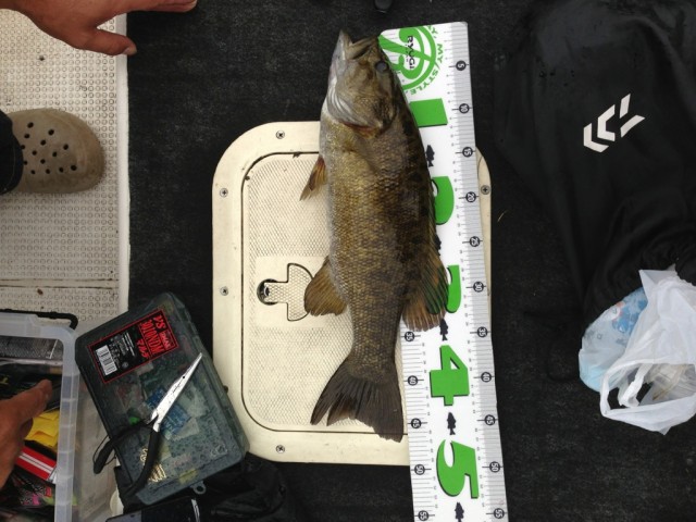 プロショップオオツカ バスフィッシング用品ネット通信販売 ブログ写真 2013/06/20