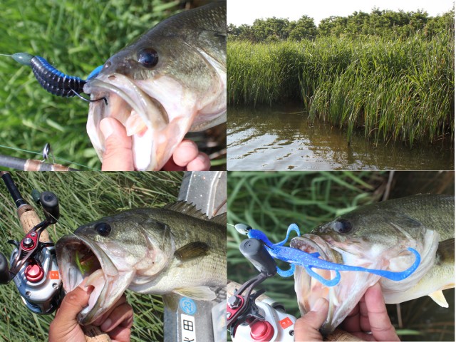 プロショップオオツカ バスフィッシング用品ネット通信販売 ブログ写真 2013/06/28