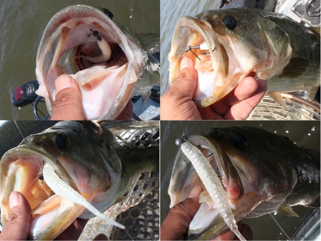 プロショップオオツカ バスフィッシング用品ネット通信販売 ブログ写真 2013/06/28