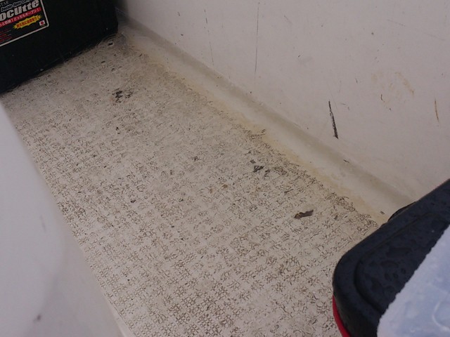 プロショップオオツカ バスフィッシング用品ネット通信販売 ブログ写真 2013/08/10