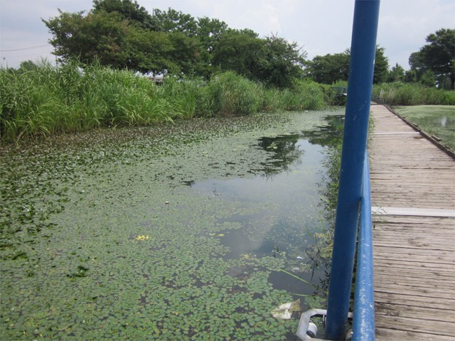 プロショップオオツカ バスフィッシング用品ネット通信販売 ブログ写真 2013/08/10