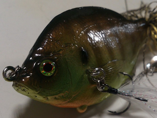 プロショップオオツカ バスフィッシング用品ネット通信販売 ブログ写真 2013/09/19