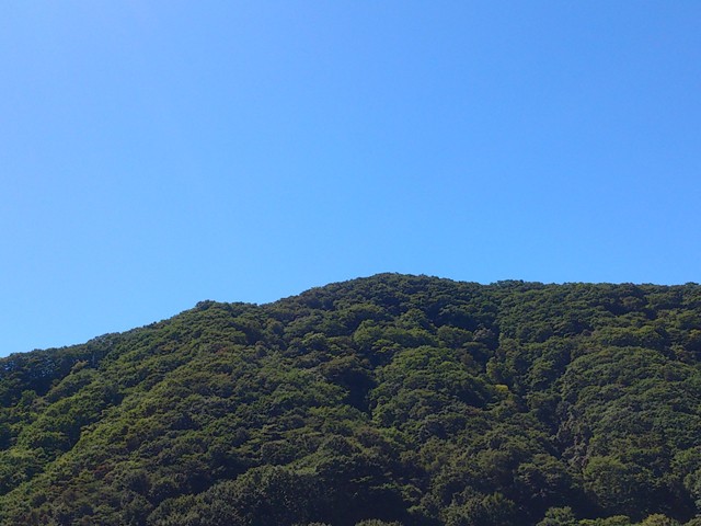 プロショップオオツカ バスフィッシング用品ネット通信販売 ブログ写真 2013/09/19