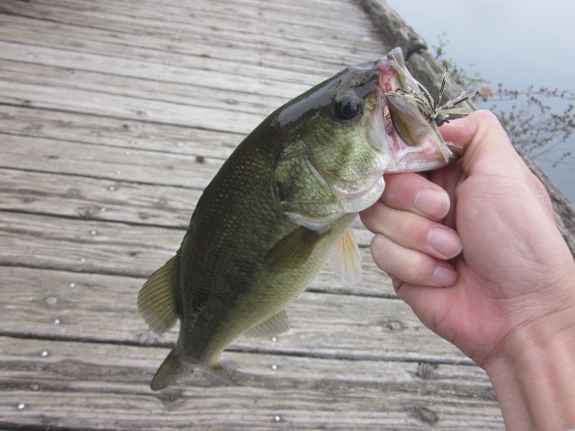 プロショップオオツカ バスフィッシング用品ネット通信販売 ブログ写真 2013/10/18