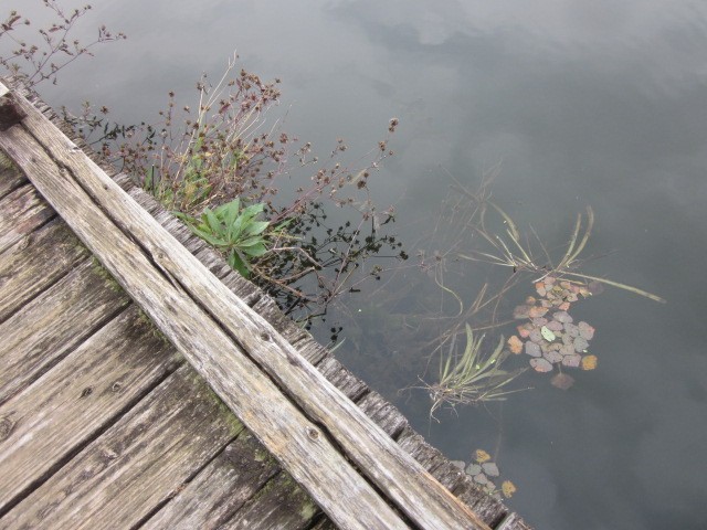 プロショップオオツカ バスフィッシング用品ネット通信販売 ブログ写真 2013/10/18