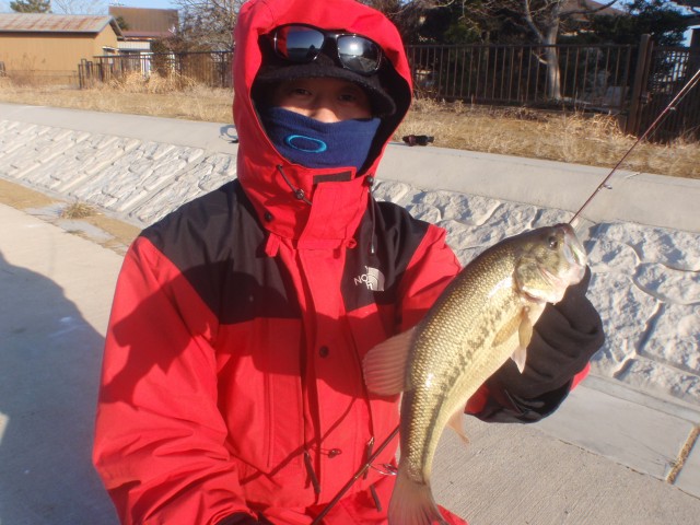 プロショップオオツカ バスフィッシング用品ネット通信販売 ブログ写真 2014/01/30