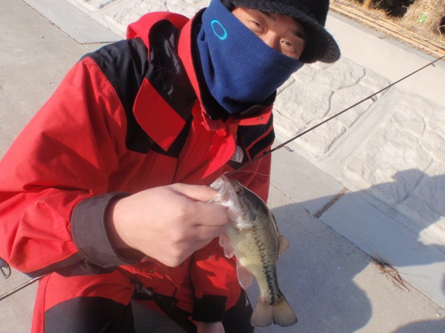 プロショップオオツカ バスフィッシング用品ネット通信販売 ブログ写真 2014/01/30