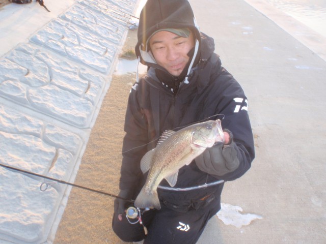 プロショップオオツカ バスフィッシング用品ネット通信販売 ブログ写真 2014/01/30