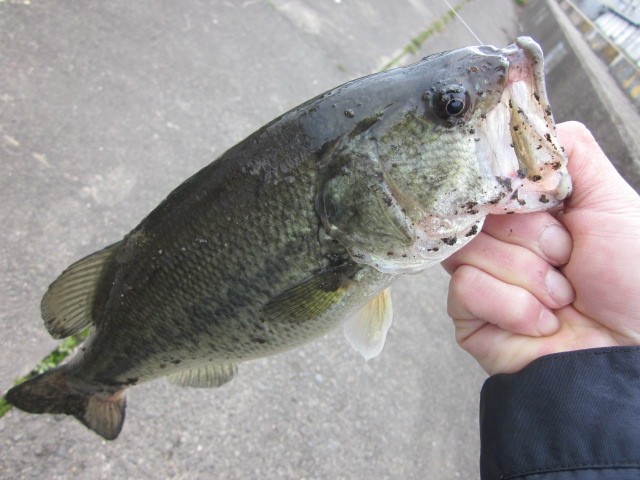 プロショップオオツカ バスフィッシング用品ネット通信販売 ブログ写真 2014/03/20