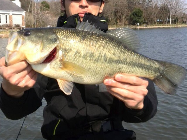 プロショップオオツカ バスフィッシング用品ネット通信販売 ブログ写真 2014/04/04