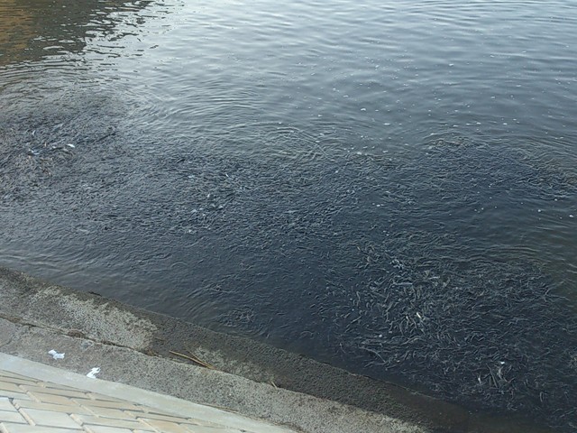 プロショップオオツカ バスフィッシング用品ネット通信販売 ブログ写真 2014/04/04