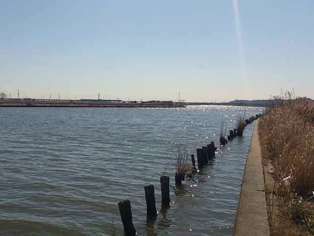 プロショップオオツカ バスフィッシング用品ネット通信販売 ブログ写真 2014/04/04