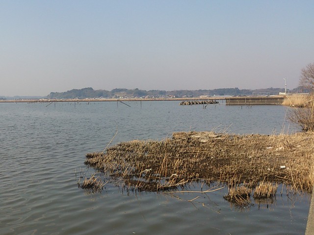 プロショップオオツカ バスフィッシング用品ネット通信販売 ブログ写真 2014/04/04