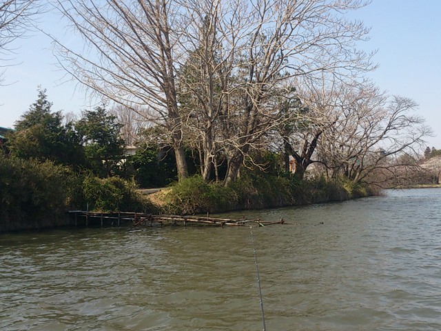 プロショップオオツカ バスフィッシング用品ネット通信販売 ブログ写真 2014/04/04