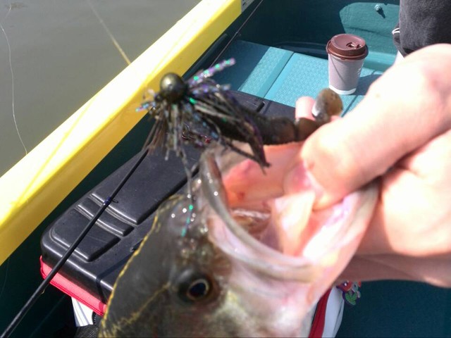 プロショップオオツカ バスフィッシング用品ネット通信販売 ブログ写真 2014/04/10