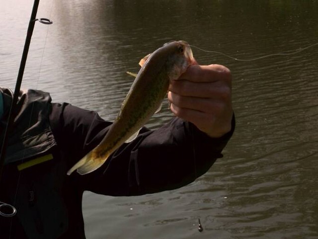 プロショップオオツカ バスフィッシング用品ネット通信販売 ブログ写真 2014/04/10