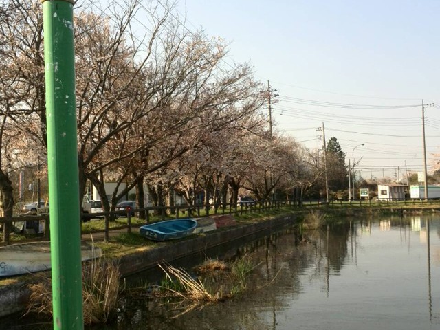 プロショップオオツカ バスフィッシング用品ネット通信販売 ブログ写真 2014/04/10