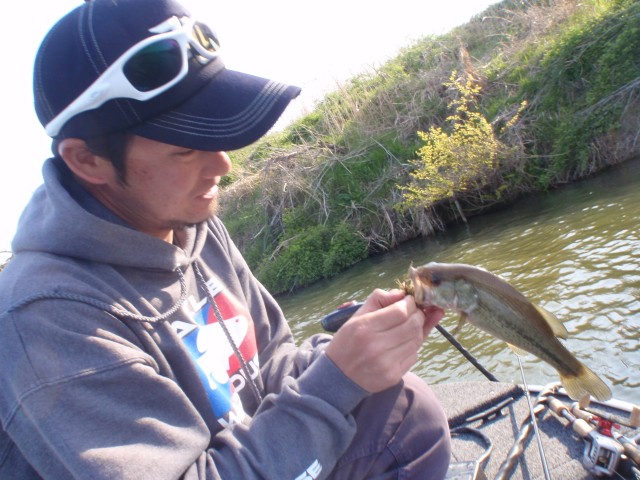 プロショップオオツカ バスフィッシング用品ネット通信販売 ブログ写真 2014/04/18