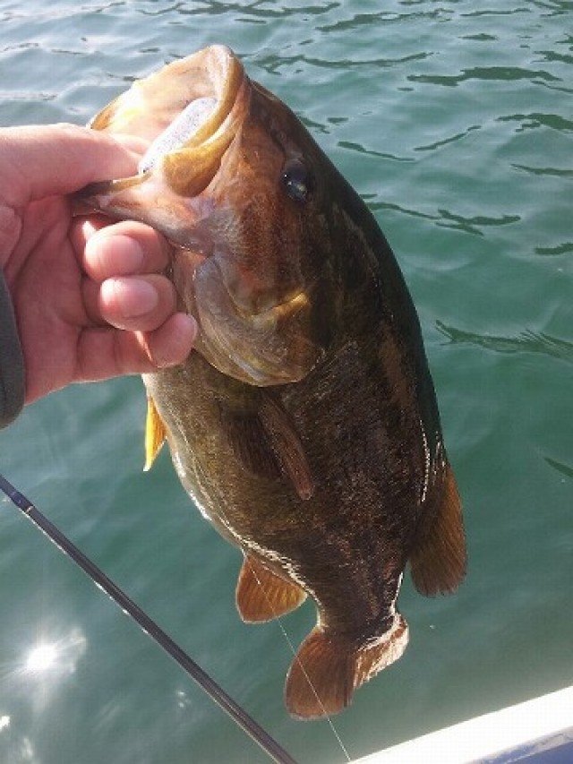 プロショップオオツカ バスフィッシング用品ネット通信販売 ブログ写真 2014/04/27