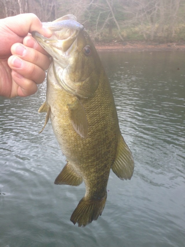 プロショップオオツカ バスフィッシング用品ネット通信販売 ブログ写真 2014/05/02