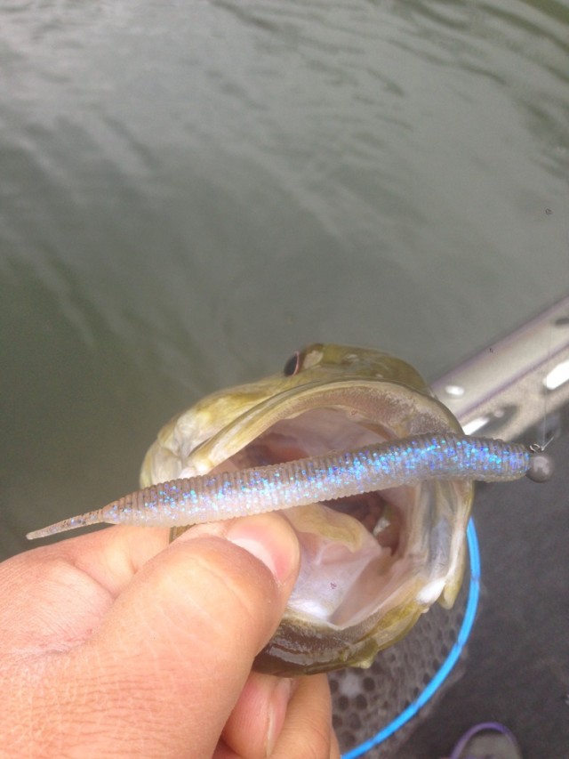 プロショップオオツカ バスフィッシング用品ネット通信販売 ブログ写真 2014/05/02