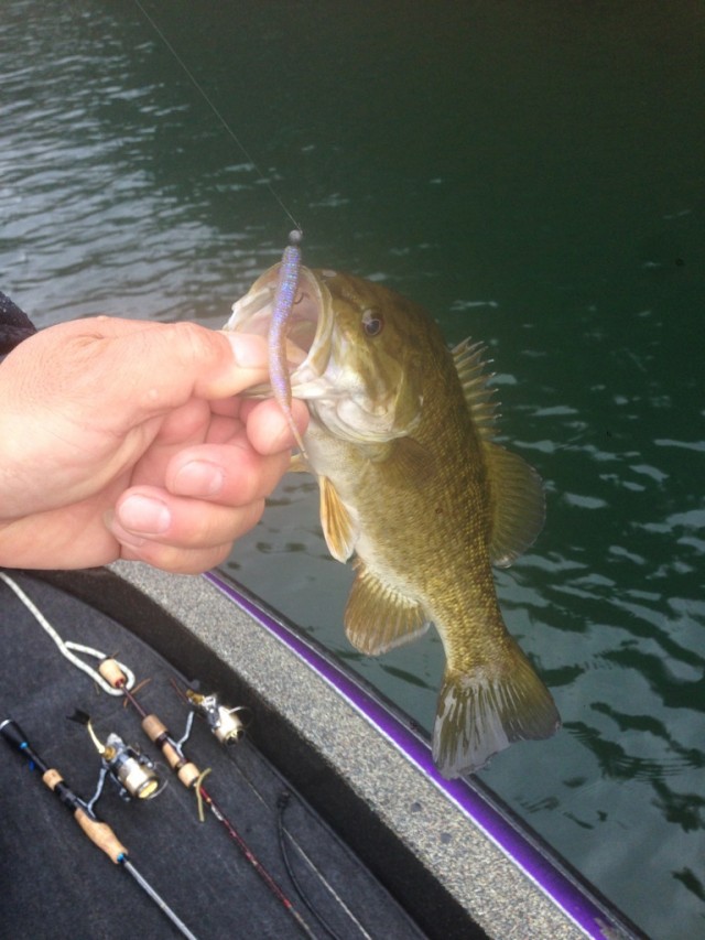 プロショップオオツカ バスフィッシング用品ネット通信販売 ブログ写真 2014/05/02