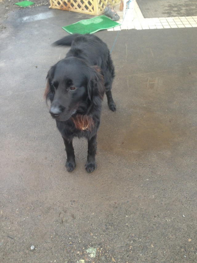 プロショップオオツカ バスフィッシング用品ネット通信販売 ブログ写真 2014/05/02