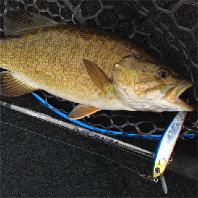 プロショップオオツカ バスフィッシング用品ネット通信販売 ブログ写真 2014/05/08