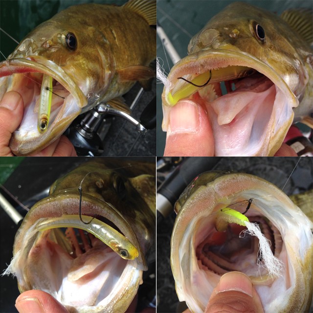 プロショップオオツカ バスフィッシング用品ネット通信販売 ブログ写真 2014/05/08