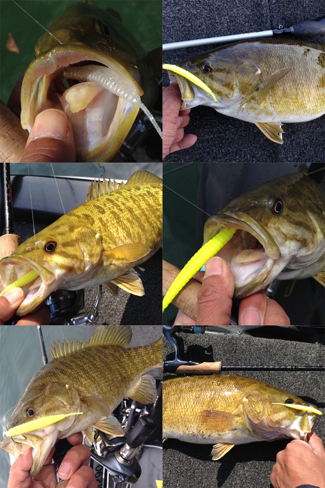 プロショップオオツカ バスフィッシング用品ネット通信販売 ブログ写真 2014/05/08