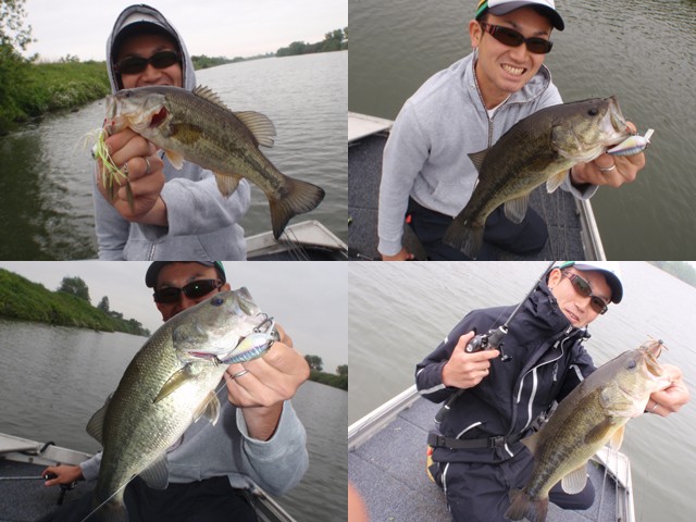 プロショップオオツカ バスフィッシング用品ネット通信販売 ブログ写真 2014/05/15