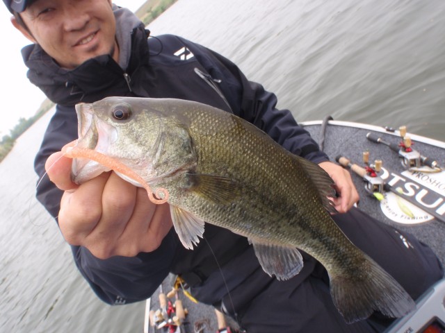 プロショップオオツカ バスフィッシング用品ネット通信販売 ブログ写真 2014/05/15