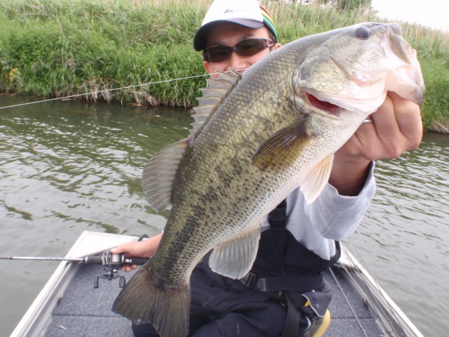 プロショップオオツカ バスフィッシング用品ネット通信販売 ブログ写真 2014/05/15