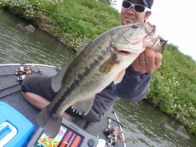 プロショップオオツカ バスフィッシング用品ネット通信販売 ブログ写真 2014/05/15