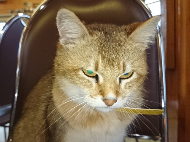 プロショップオオツカ バスフィッシング用品ネット通信販売 ブログ写真 2014/05/16