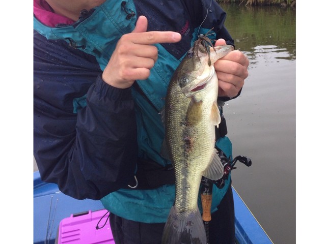 プロショップオオツカ バスフィッシング用品ネット通信販売 ブログ写真 2014/05/16