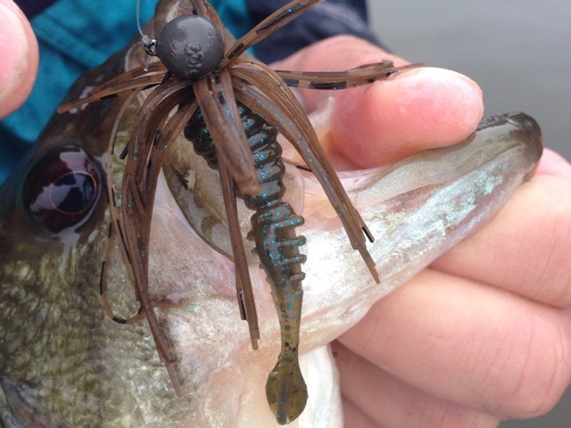 プロショップオオツカ バスフィッシング用品ネット通信販売 ブログ写真 2014/05/16