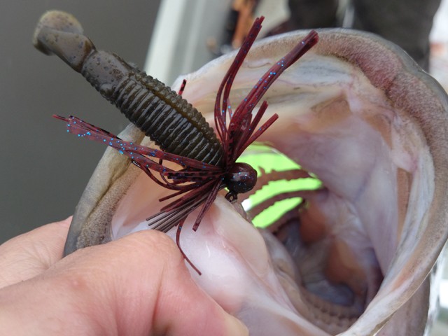 プロショップオオツカ バスフィッシング用品ネット通信販売 ブログ写真 2014/05/16